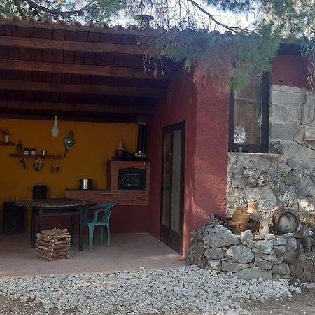 Agriturismo Poggio Ferrata Ruvo di Puglia Exteriér fotografie
