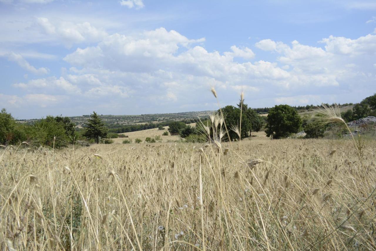 Agriturismo Poggio Ferrata Ruvo di Puglia Exteriér fotografie